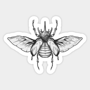 Rhinoceros beetle Sticker